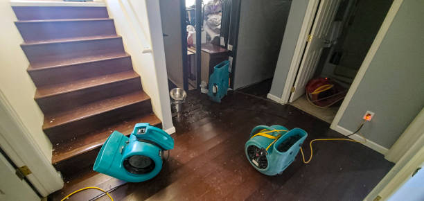 Best Residential water damage restoration  in Cedar Glen West, NJ