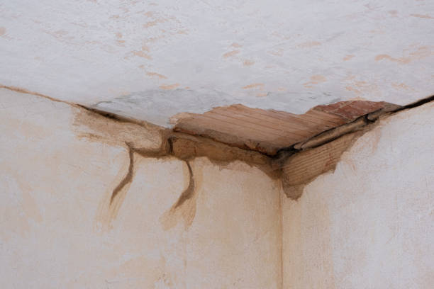 Best Water damage mitigation services  in Cedar Glen West, NJ