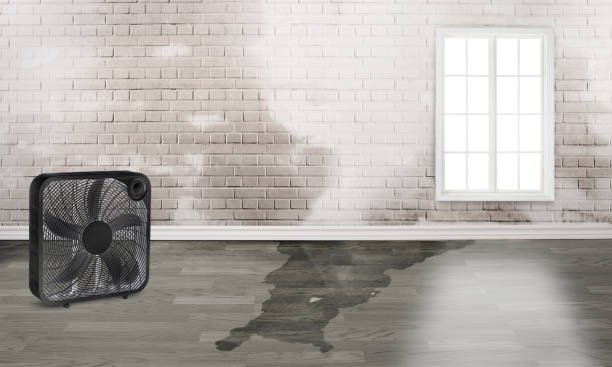 Best Water damage cleanup near me  in Cedar Glen West, NJ