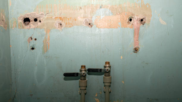 Best Sewage cleanup and water damage restoration  in Cedar Glen West, NJ