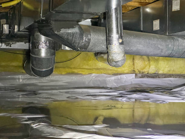 Best Water damage restoration near me  in Cedar Glen West, NJ