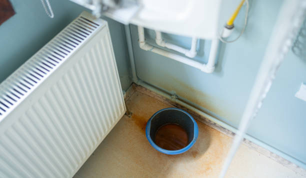  Cedar Glen West, NJ Water damage restoration Pros