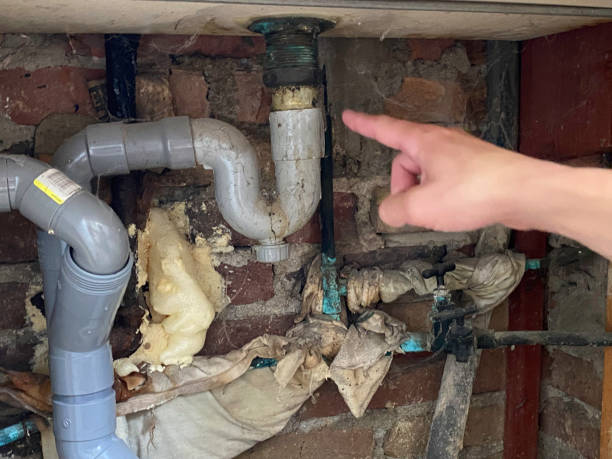 Best 24/7 water damage repair  in Cedar Glen West, NJ
