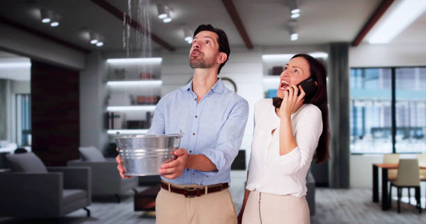Best Flooded house restoration  in Cedar Glen West, NJ